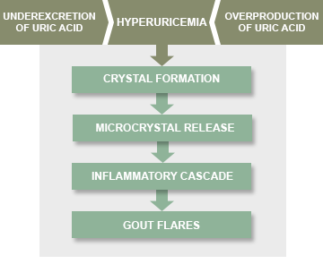 Gout Care Diagram